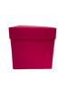 CAJA CORRUGADO FOSFO NO.15 15X15+15  COD 3162-6 PADI